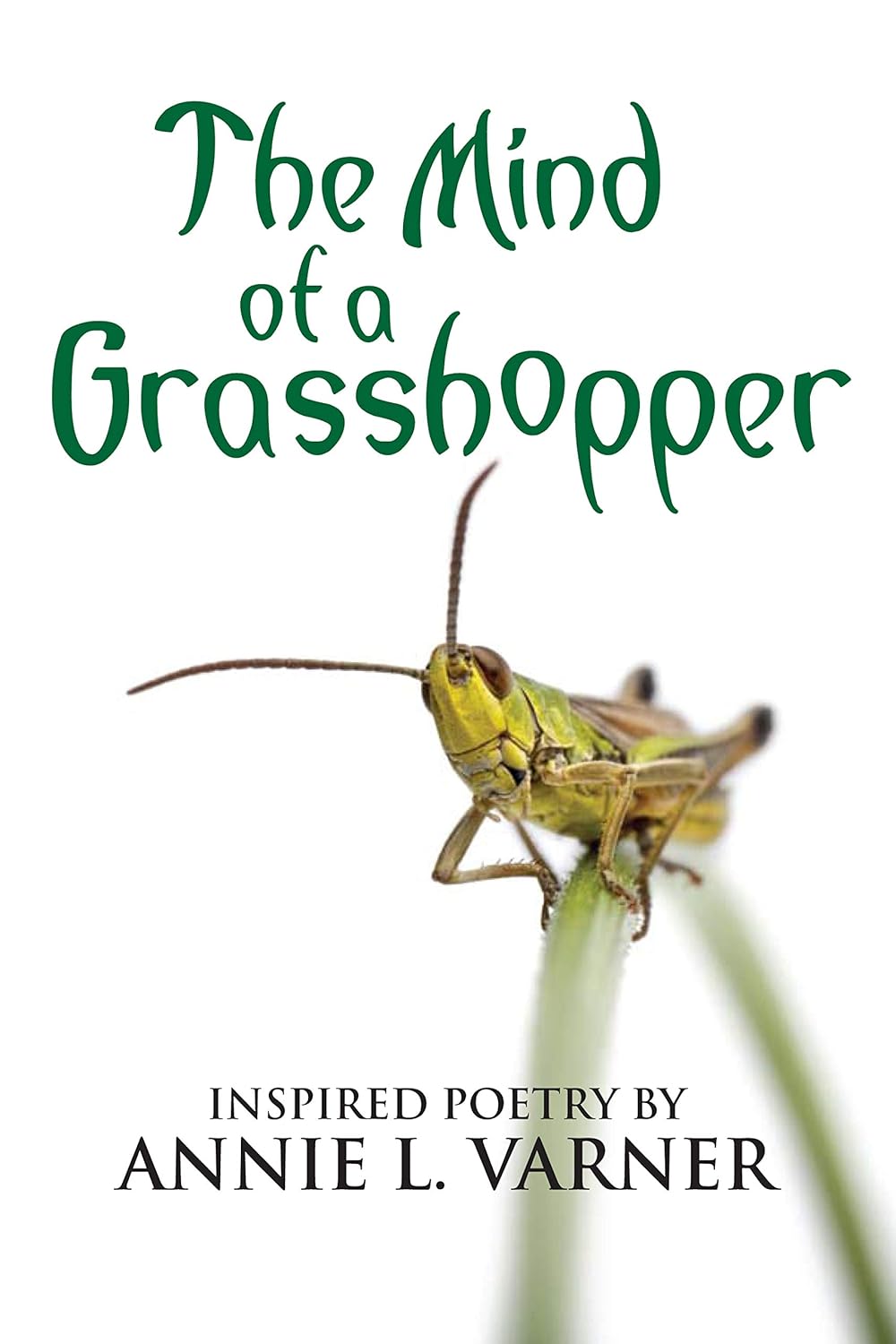 A green grasshopper sits on a blade of grass against a white background. The title above reads The Mind of a Grasshopper. Below, it says Inspired Poetry by Annie L. Varner.